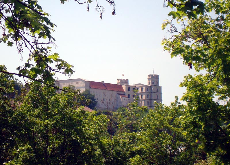 Burg