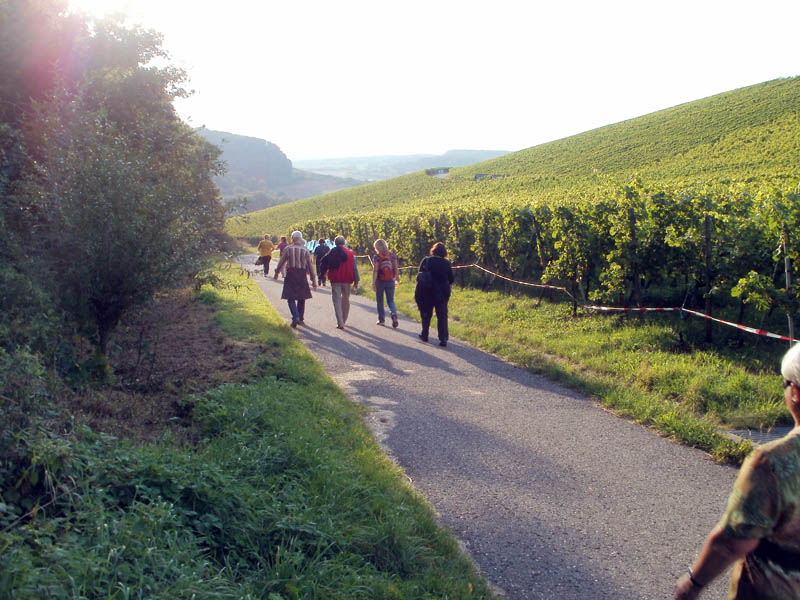 Wandern