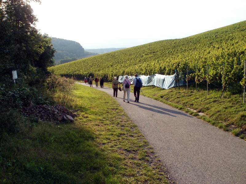 Wandern